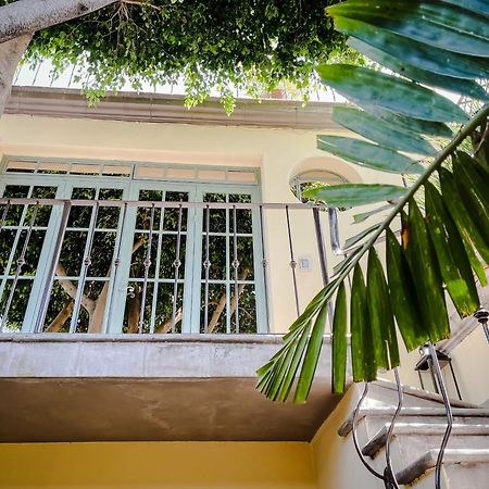 Casa Florida Bed & Breakfast San Miguel de Allende Bagian luar foto