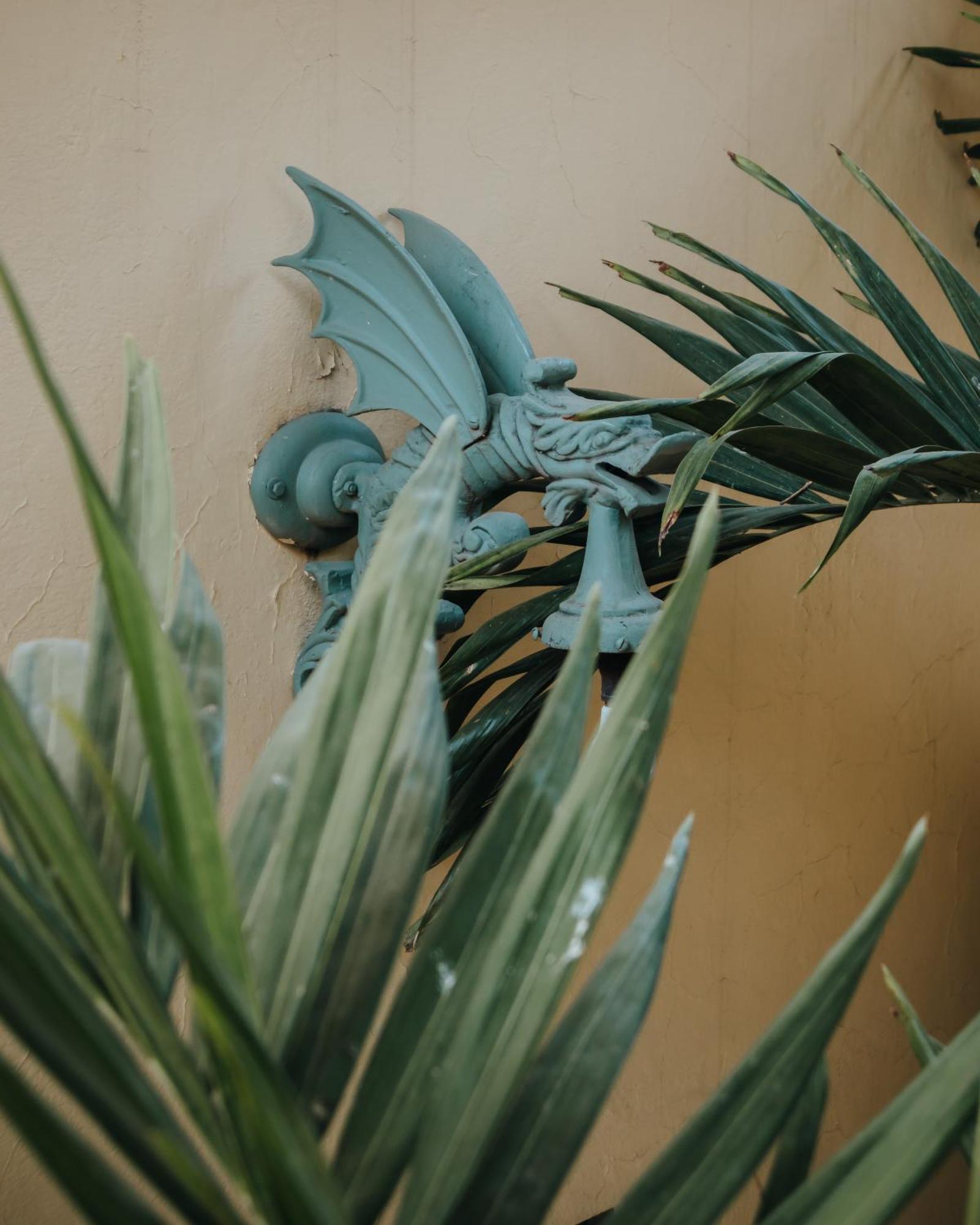 Casa Florida Bed & Breakfast San Miguel de Allende Bagian luar foto